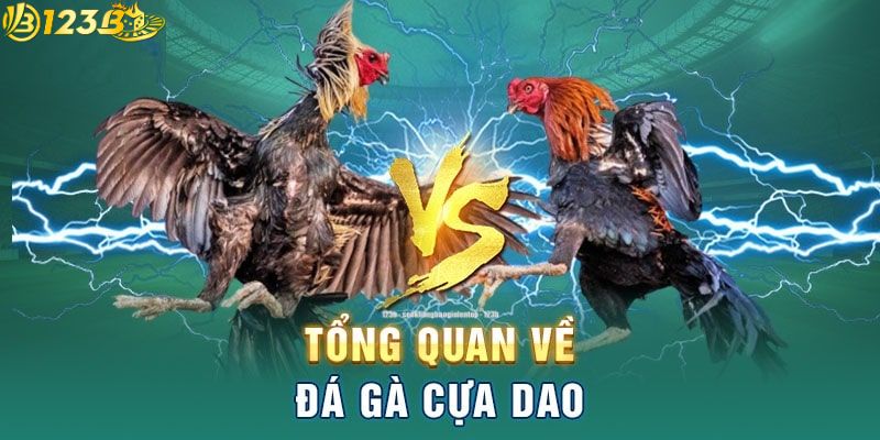 Giới thiệu sản phẩm đá cựa dao tại 123B